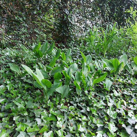 罗西察一室公寓 索菲亞 外观 照片